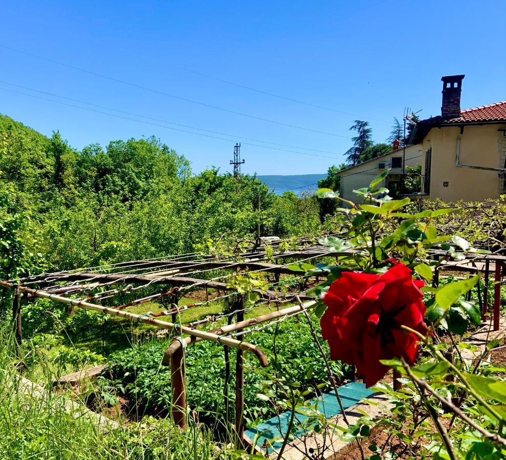 Villa Flamingo Mošćenička Draga Zewnętrze zdjęcie